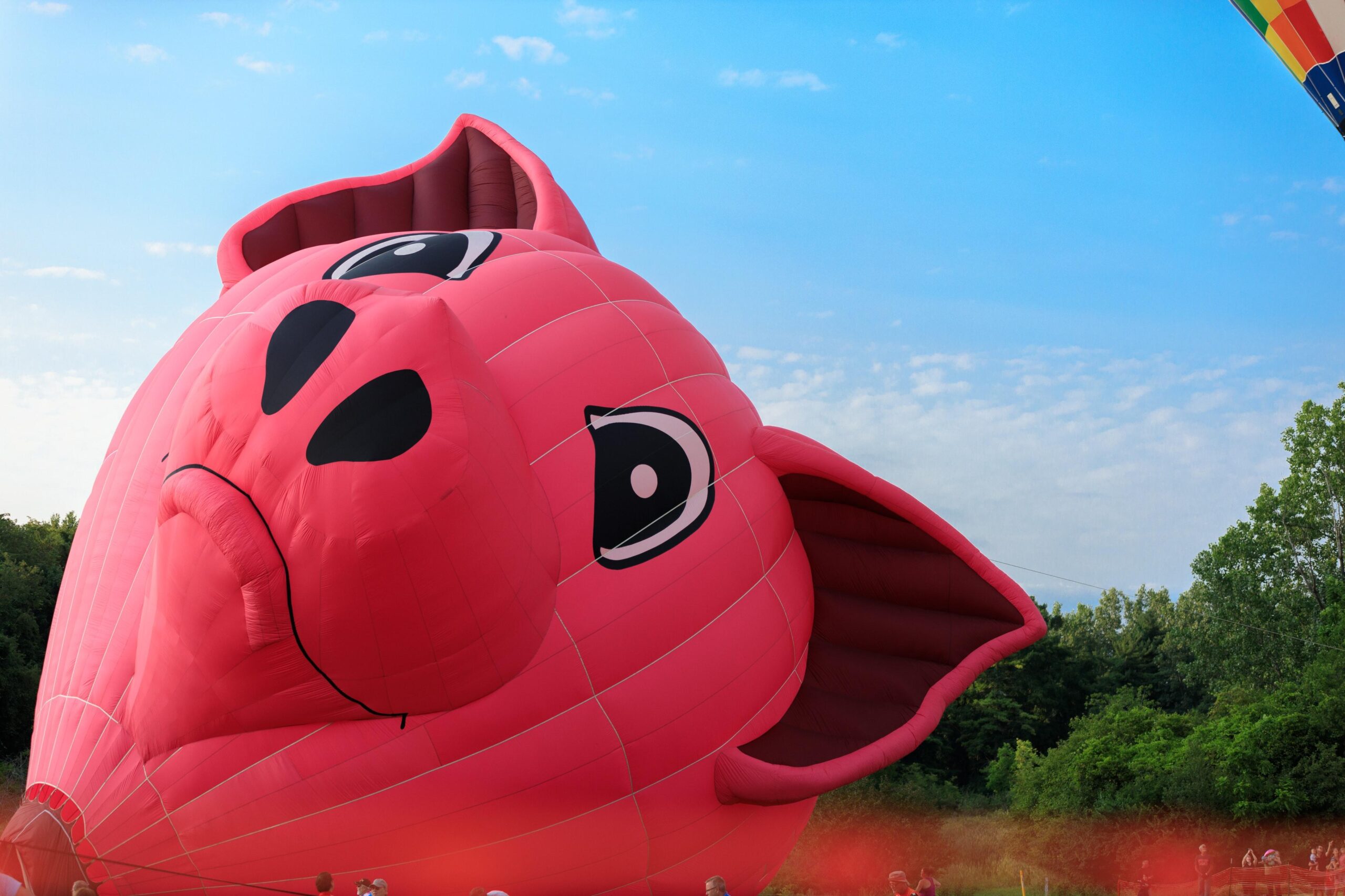 The Advantages Of Using Custom Advertising Inflatables For Your Brand Promotion