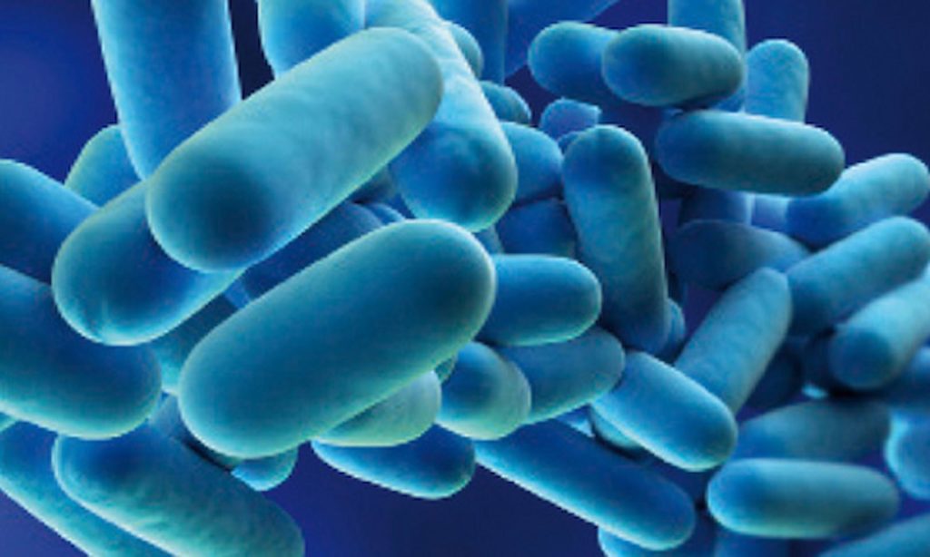 Legionella Risk Assessment